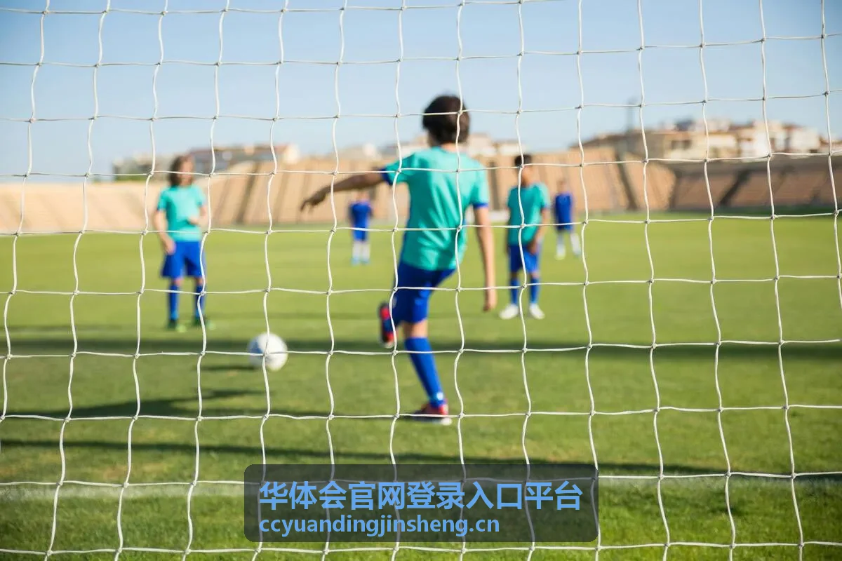 华体会官网登录入口平台的验证码接收与核对