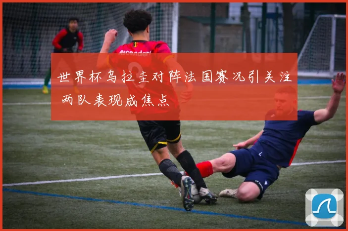 世界杯乌拉圭对阵法国赛况引关注 两队表现成焦点