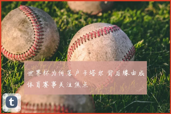 世界杯为何落户卡塔尔 背后缘由成体育赛事关注焦点