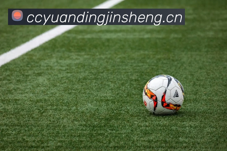 奖项3